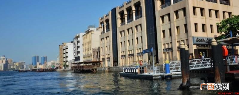 海湾地区有沙特、伊拉克、科威特、沙特阿拉伯、巴林、卡塔尔、阿 海湾地区有哪些国家