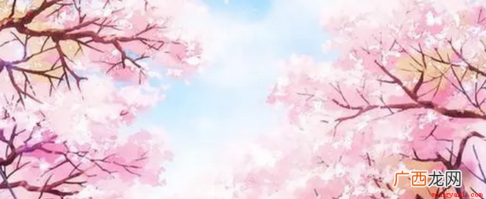 看不到樱花动画可能有以下原因 为什么樱花动漫看不了了？