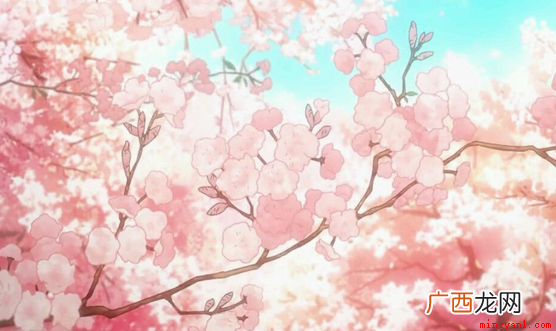 看不到樱花动画可能有以下原因 为什么樱花动漫看不了了？