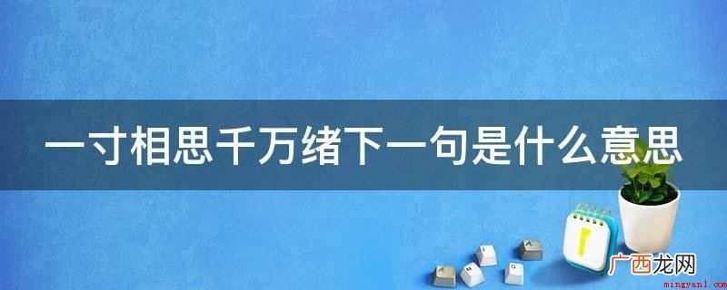 一寸相思一定绪,下一句的意思是宽阔的天地之间竟没有一个地区可 一寸相思千万绪下一句