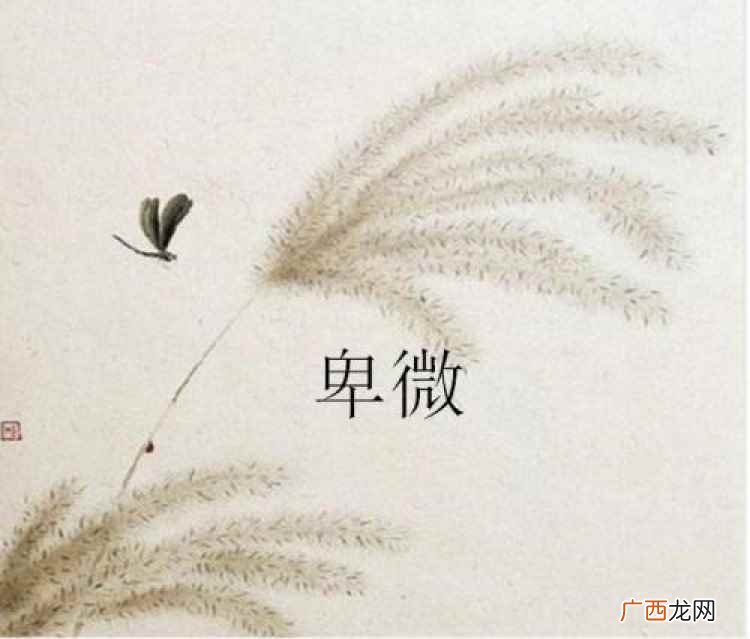 上海劳动力中的卑微地位 卑微的意思