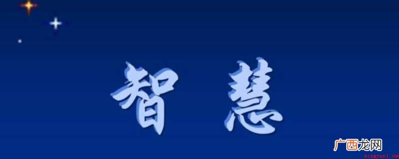 智慧表达智力器官的综合终极功能 智慧分离