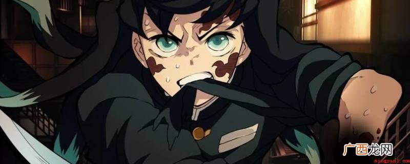 漫画中,时透无一郎和他的兄弟时透有一郎转世为双胞胎,但他没有 时透无一郎转世叫什么