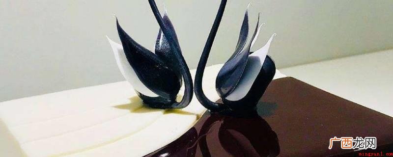 黑天鹅生日蛋糕,中国着名蛋糕烘焙公司好利来集团公司倾情塑造的 黑天鹅之子