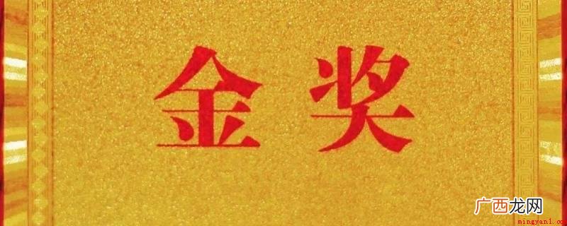 珠海市本人志愿服务金奖必须先申请注册 珠海个人志愿服务金奖怎么得来