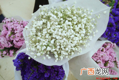 满天星各种颜色的花语和寓意 满天星花语和寓意是什么？