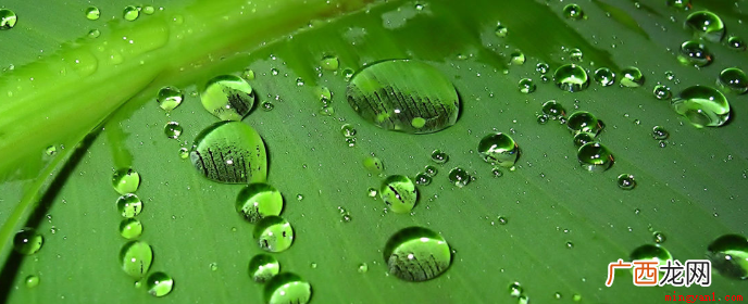 有关春雨像什么一样轻轻的落在地上的句子有哪些？