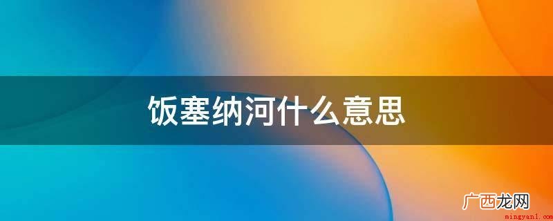塞纳河指国内女子偶像团体SNH48 饭塞纳河