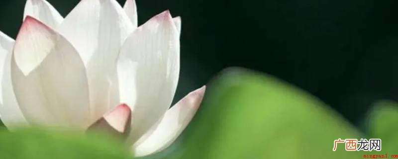 因果何曾饶过谁上一句是世人不信有因果 因果何曾饶过谁上一句是什么