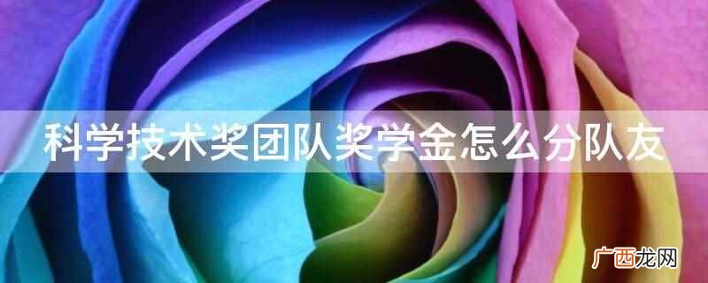 科学技术奖团队奖学金制度 科学技术奖团队奖学金怎么分队友