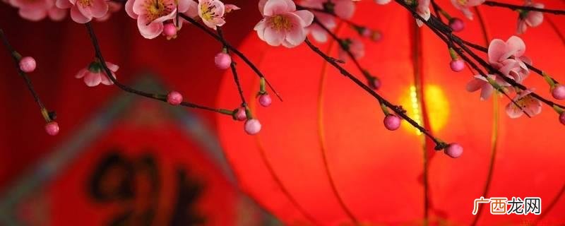 新年298谜底是 新年298谜底