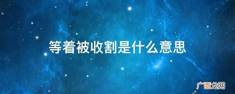 网络游戏中第一次使用最早可以追溯到世界第一款图形MUD 等着被收割