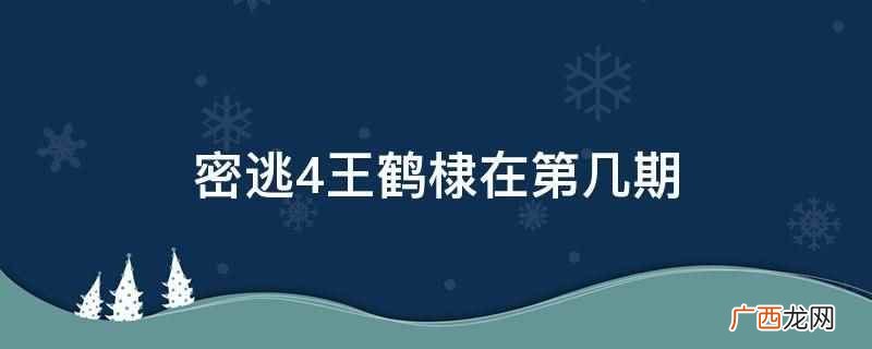 密逃4王鹤棣在第四季的第10期 密逃4王鹤棣在第几期