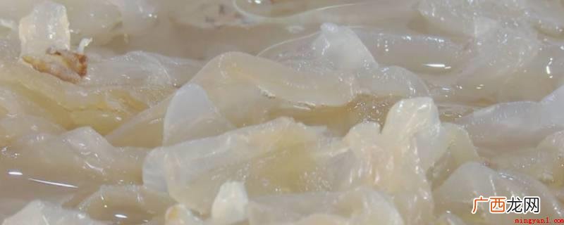 海蜇太硬不是太老了_健康频道 海蜇太硬是太老了吗