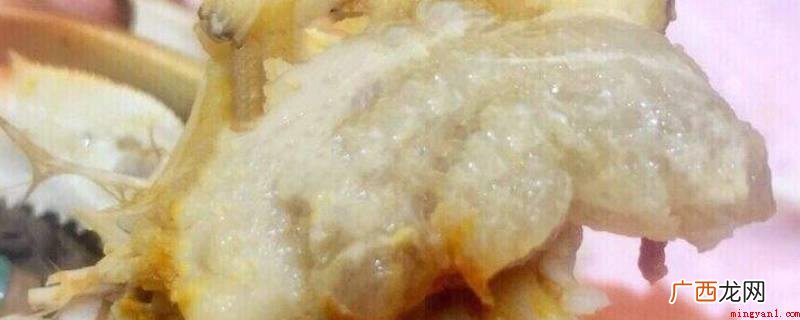 农历九月要吃母蟹,农历十月里要吃公蟹 公螃蟹里面的白色的膏是什么