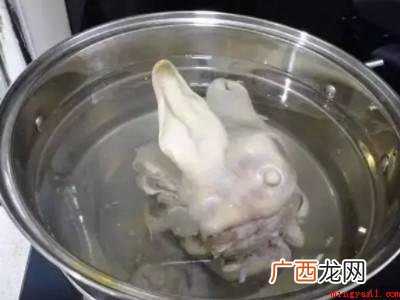 羊毛的主要来源有哪些? 羊头怎样处理才干净