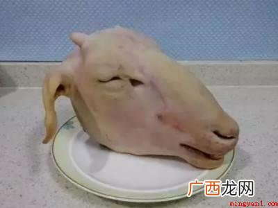 羊毛的主要来源有哪些? 羊头怎样处理才干净
