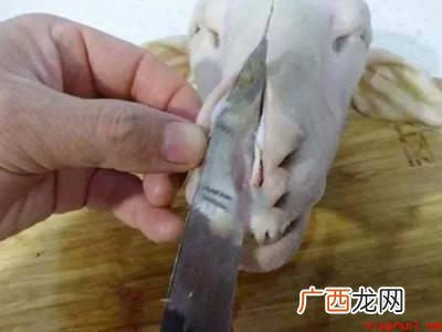 羊毛的主要来源有哪些? 羊头怎样处理才干净