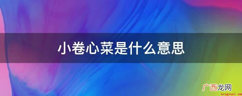 小卷心菜是指亲爱的心爱的、宝贝 小卷心菜