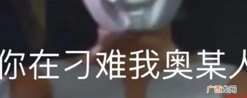 你在刁难我奥某人是指奥特曼 你在刁难我奥某人