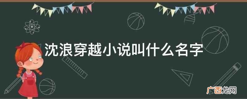 沈浪穿越小说叫《史上最强赘婿》 沈浪穿越小说叫什么名字