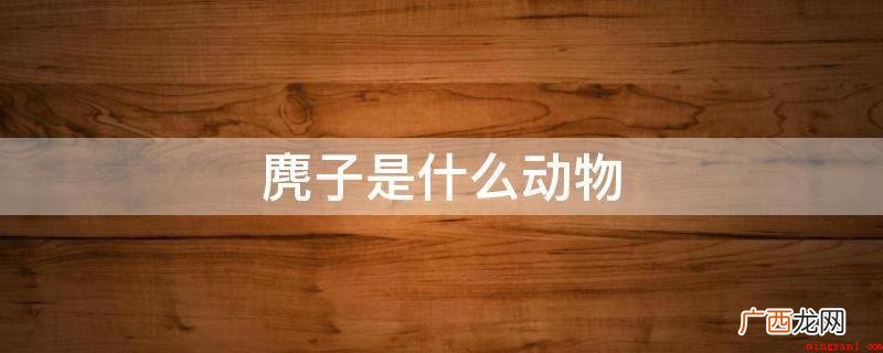 麂子是鹿科动物,但是体型上也比鹿要小很多,大约长0.75 麂子是什么动物
