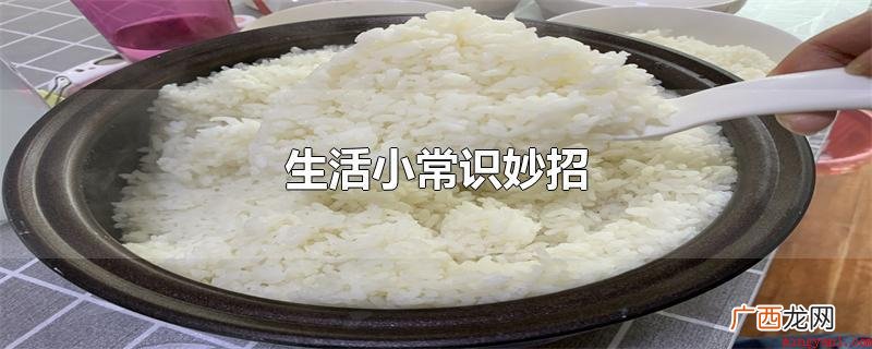 夏天在电风扇的叶子上洒上几滴风油精 生活小常识妙招 生活小常识妙招