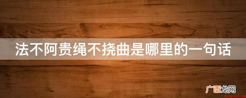 法不偏袒权贵,法律的准绳决不能屈从于邪恶,就象木匠用的墨线决 法不阿贵绳不挠曲是哪里的一句话