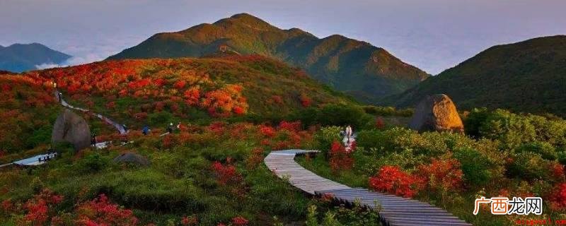 湖南大围山国家森林公园 大围山是哪个省