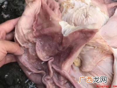 把驴肠用一根筷子穿在里面,翻过来,让内壁露在外面 驴大肠怎么洗简单又干净