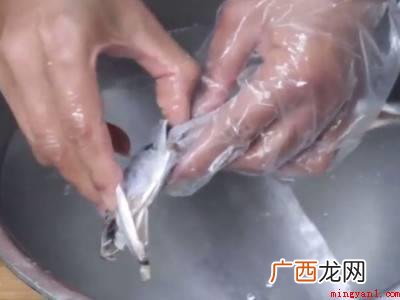 带鱼的体型侧扁如带,青岛、日照黄海沿岸城市称 带鱼段怎么处理干净