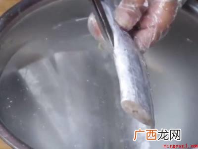 带鱼的体型侧扁如带,青岛、日照黄海沿岸城市称 带鱼段怎么处理干净