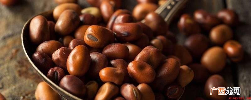 干蚕豆泡24小时可以煮着吃 干蚕豆泡多久可以煮着吃