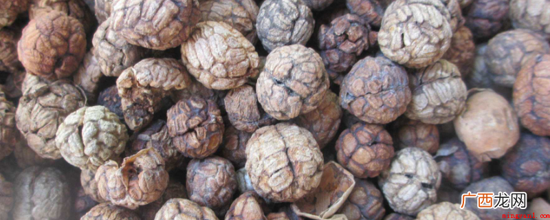 草蔻调料中的作用是增加香味,去腥去膻 草蔻在调料中起什么作用