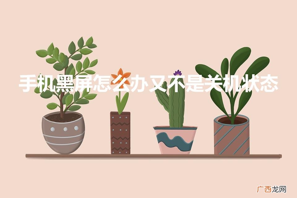 手机黑屏怎么办 手机黑屏怎么办又不是关机状态