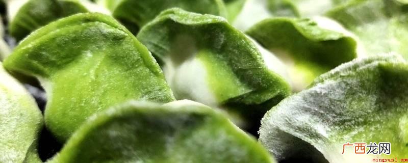 绿饺子皮是用菠菜做的_健康频道 绿饺子皮是用什么做的