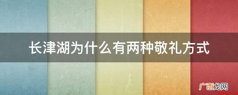 以抗美援朝战争第二次战役中的长津湖战役为背景 长津湖为什么有两种敬礼方式