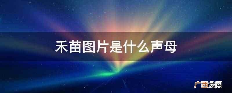 禾苗图片是声母r。类似的还有z加椅子 禾苗图片是什么声母