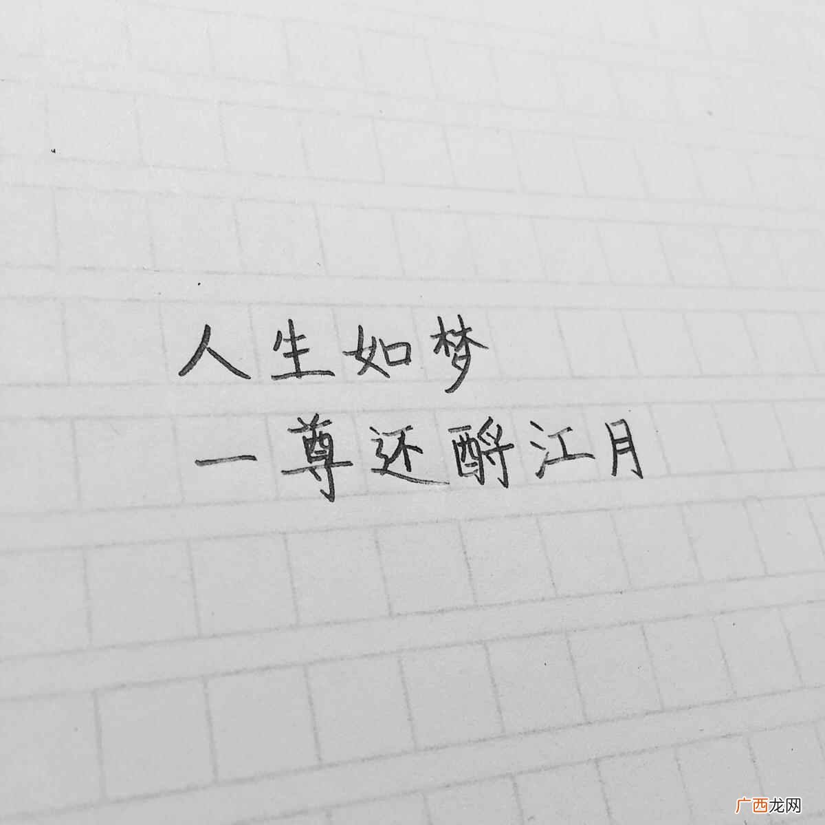 人生如梦下一句:一尊还酹江月 人生如梦的下一句是什么