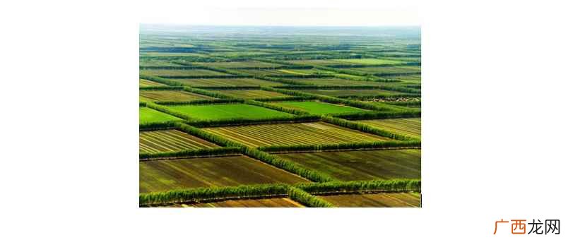 土地面积的测量方法和解析法 一公顷有多大