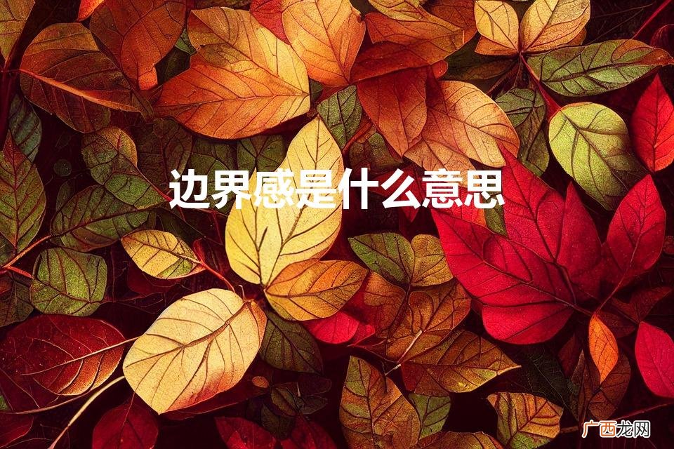 边界感是什么意思?恋爱中,边界感到底有多重要? 边界感是什么意思