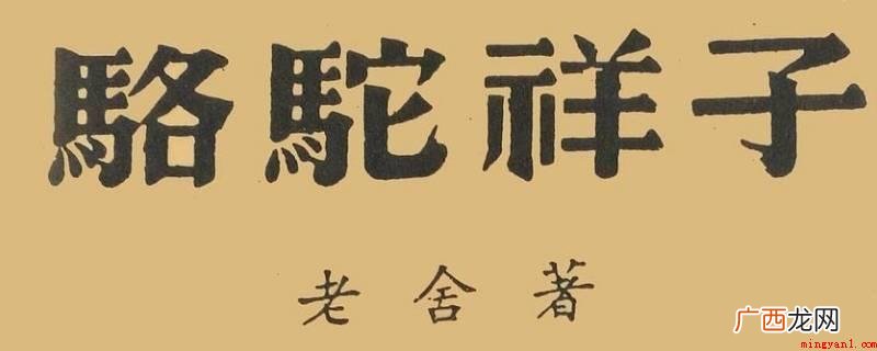 祥子被兵捉去干活时,从兵营里偷跑,顺手拉走的骆驼 骆驼祥子的骆驼是怎么来的