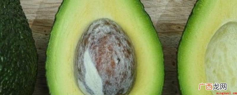 avocado和牛油果的区别 avocado是牛油果还是鳄梨