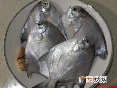 银鲳鱼的养殖方法有哪些 银鲳鱼怎么清理内脏