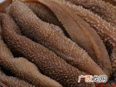 什么是毛肚_有问必答 毛肚如何保存冷藏