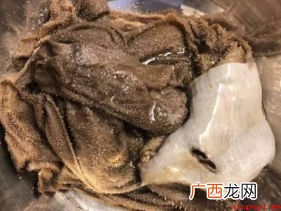 牛百叶的功用有哪些? 新鲜牛百叶怎么处理吃起来脆