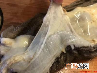 牛百叶的功用有哪些? 新鲜牛百叶怎么处理吃起来脆