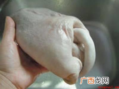 猪的品种繁多,达150多种,形态也有差异 猪肚怎么切