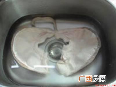 猪的品种繁多,达150多种,形态也有差异 猪肚怎么切
