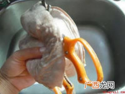 猪的品种繁多,达150多种,形态也有差异 猪肚怎么切